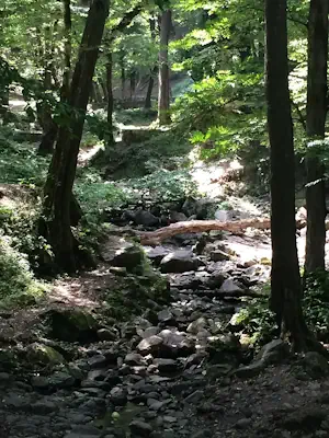 Hiking in Gilan province, north central Iran.